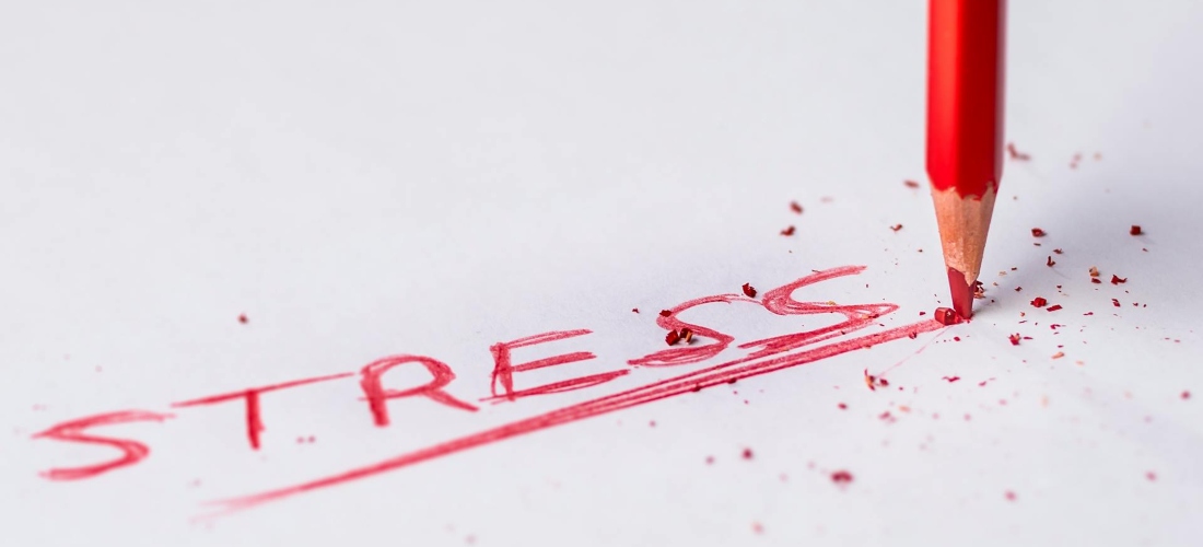 Word stress written with a red coloring pen.