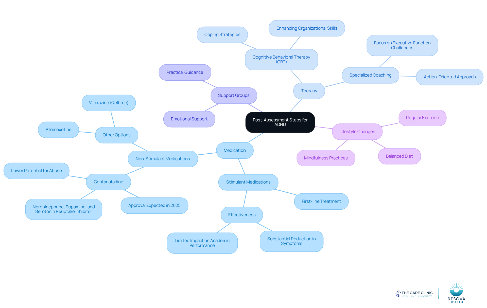 The central node represents the overall theme of post-assessment steps, while each branch highlights different treatment and support options. The sub-branches provide specific details, making it easy to understand the various approaches available.