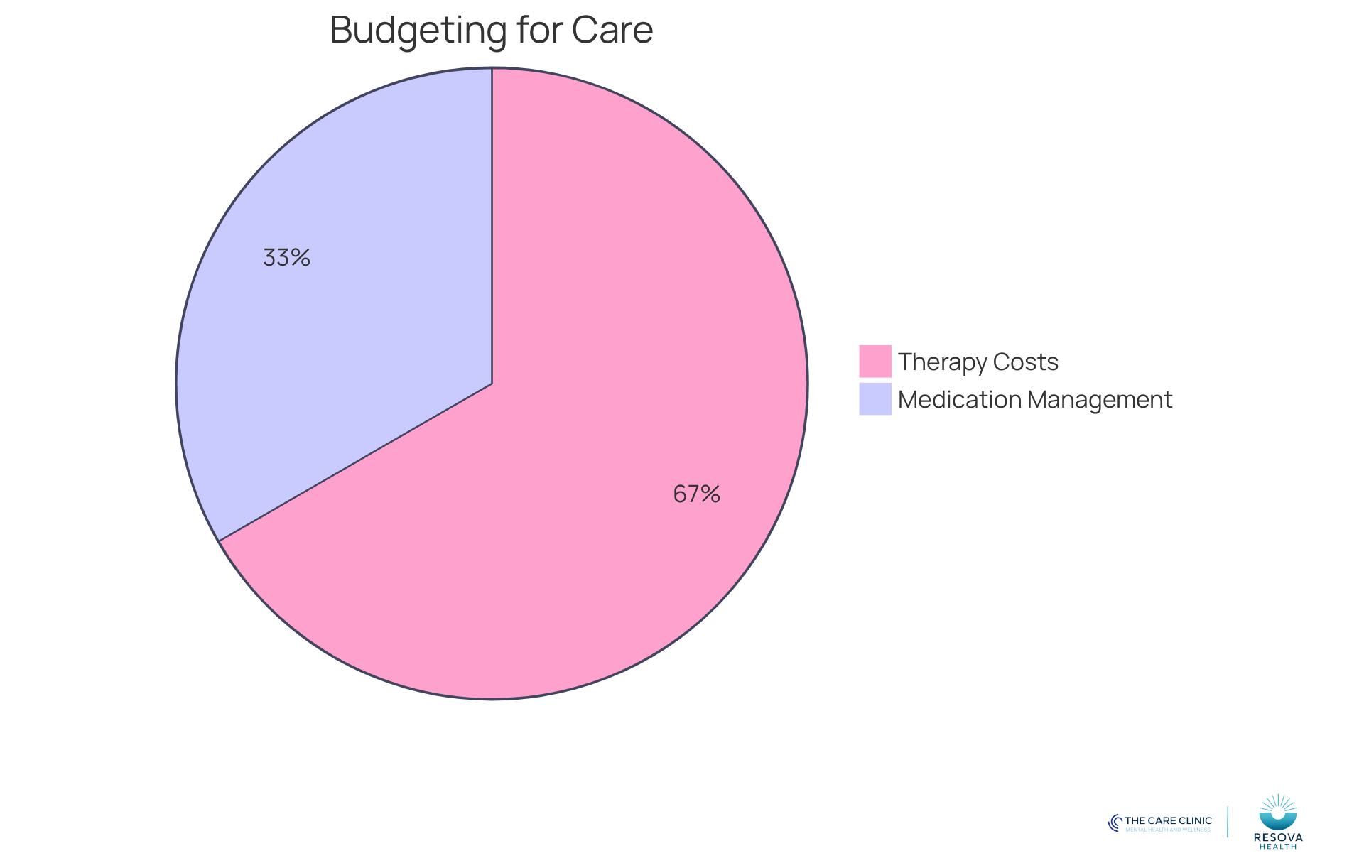 This chart shows how much of your budget goes to therapy versus medication management. The larger the slice, the more you spend on that treatment type. This chart shows how much of your budget goes to therapy versus medication management. The larger the slice, the more you spend on that treatment type.