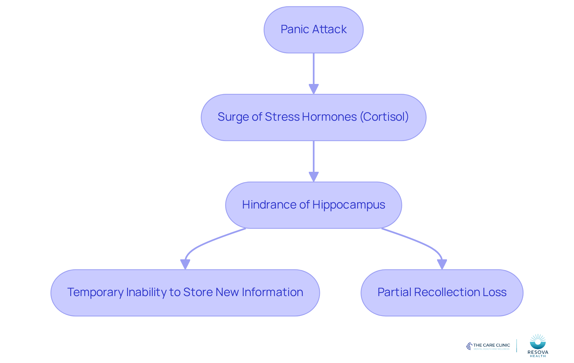 Follow the arrows to see how panic attacks trigger a series of reactions that can lead to memory loss. Each box represents a step in the process, showing how stress affects cognitive function.